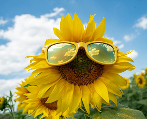vitamina D Axis Dental