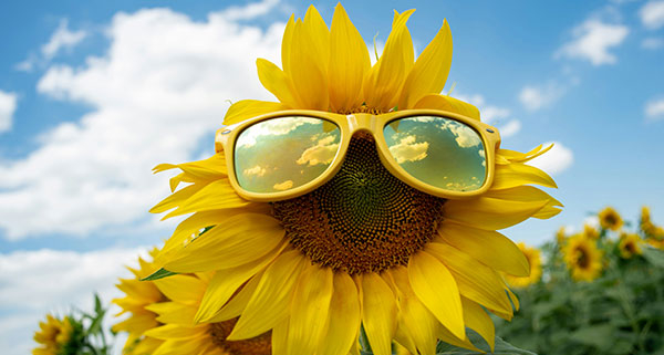 vitamine D Axis Dental